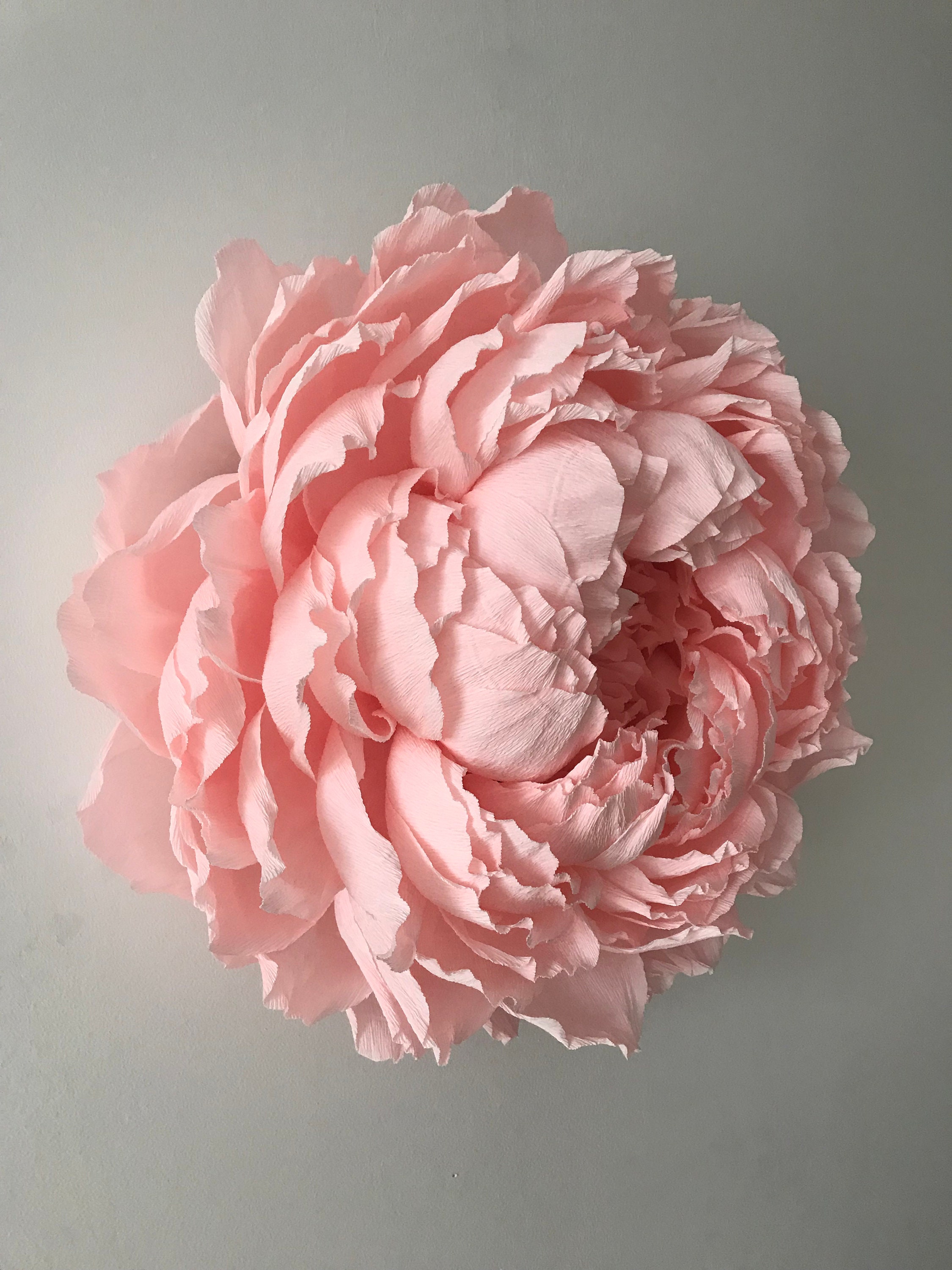Large crepe paper flowers Giant paper flowers wall decor Etsy