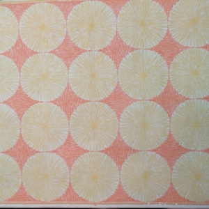 Carta da parati vintage originale al metro - carta da parati vintage anni '60 / su22