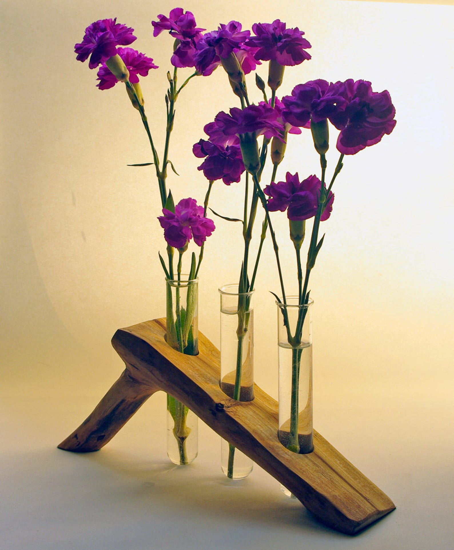 Wooden branch split wood test tube vase flower holder Etsy