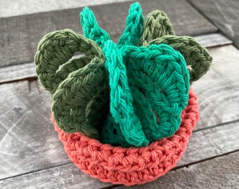 Crochet Succulent House Coasters, Monstera Leaf Coasters, Succulent Pot Coasters, Succulent Coaster Set, Gifts for Plant Lovers