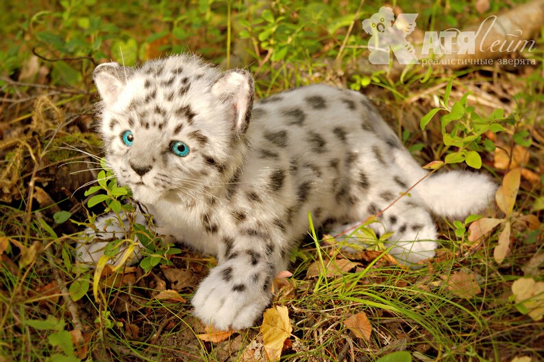 FOR EXAMPLE for order Snow Leopard Neon handmade stuffed Etsy