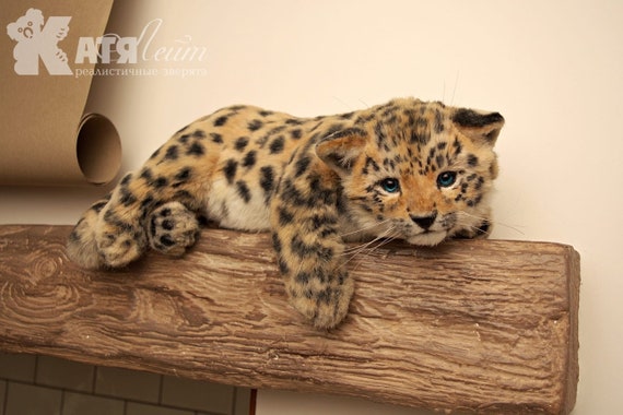 Petit Bebe Leopard Exemple Pour Lordre Animal Realiste Etsy Petit Bebe Leopard Exemple Pour Lordre Animal Realiste Etsy