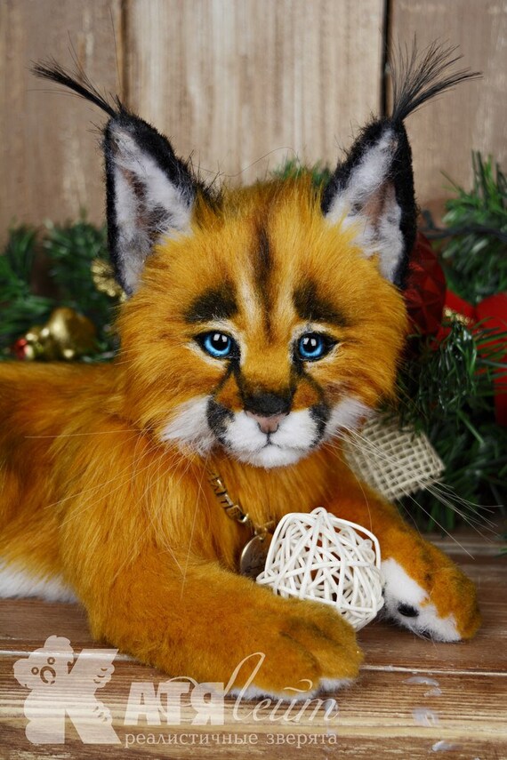 caracal stuffed animal