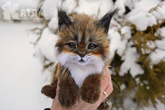stuffed lynx