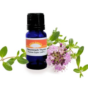 Peut inclure: Une bouteille en verre bleu avec un bouchon noir, étiquetée "New Dawn Benchmark Thyme (Thymus Zygis. Loeff. L)". La bouteille est entourée de brins de thym avec des fleurs roses.