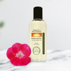 Travel Size Organic Shampoo ~ Handmade Vegan Shampoo for Face, Body & Hair