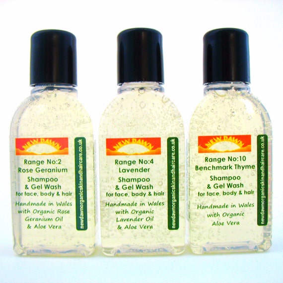 Dry Dyed Bleached Hair Shampoo Sample Pack Organic Etsy