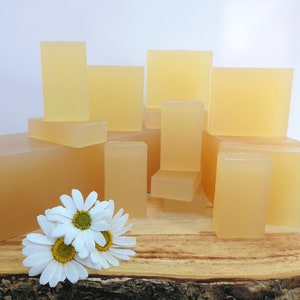 Organic Unscented Aloe Vera Soap Bar ~ Natural Handmade Vegan Soap ~ For Sensitive Skin
