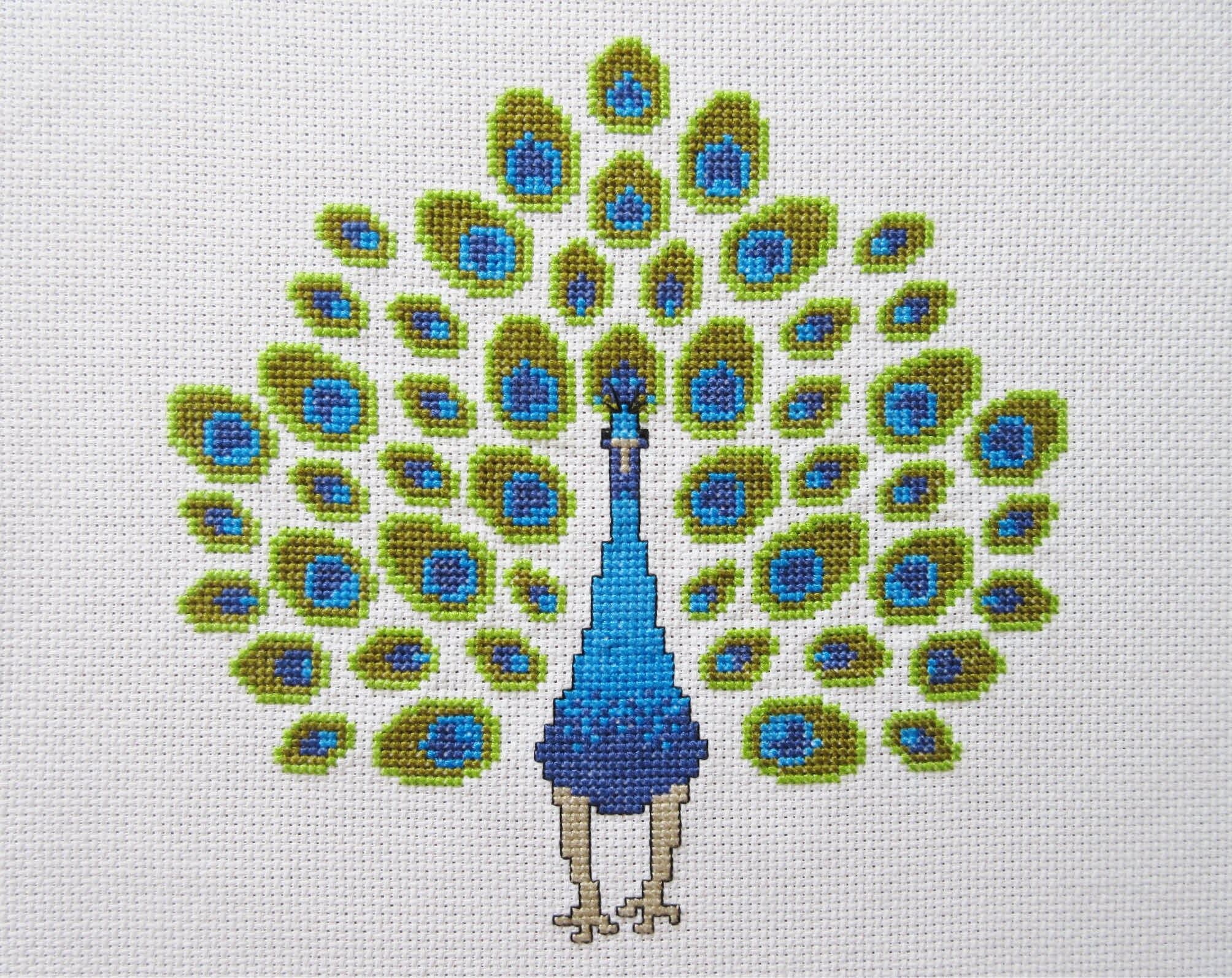Cross stitch pattern design for beginners - Peacock & Fig