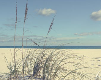 Beach Print, Beach Grass, Beach Photo, Nature Print, Coastal Print, Beach Wall Art, Coastal Beach Photo