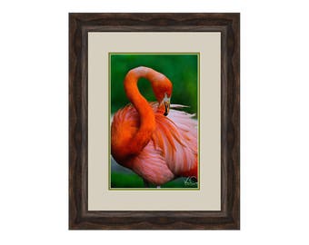 Flamingo, Flamingo Print, Pink Flamingo Print, Wildlife Home Decor, Bird Photo, Nature Photography, Pink Flamingo Photo