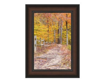 Autumn Landscape, Fall Landscape, Farmhouse Decor, Farmhouse Photo, State Park Photo, Farmhouse Art, Rustic Farmhouse Art, Brown County