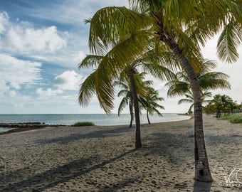 Key West Palm Tree Print, Key West Florida Wall Decor, Florida Keys Fine Art Print, Smathers Beach Key West Photo, Pam Tree Photo