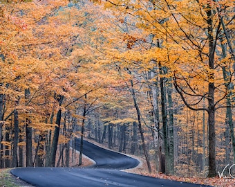 Country Road, Autumn Landscape, Fall Colors, Autumn Trees, Country Decor, Rustic Scene, Orange,  Winding Road, Autumn Photo, Autumn Decor