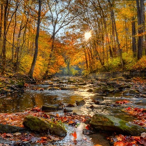 Autumn Landscape, Autumn Trees, Landscape Photo, Fall Landscape, Fall Print, Fall Wall Art, Fall  Wall Art, Fall Decor, Indiana Art Print