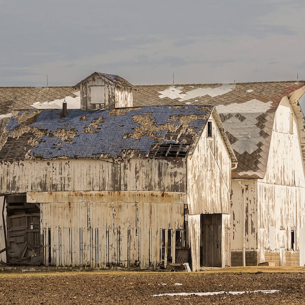 White Barn, Fine Art Photo, Barn Wall Art, Fine Art Print, Barn Picture, Barn Print, Country Art, Barns, Rustic Barn Print, Farm Photo