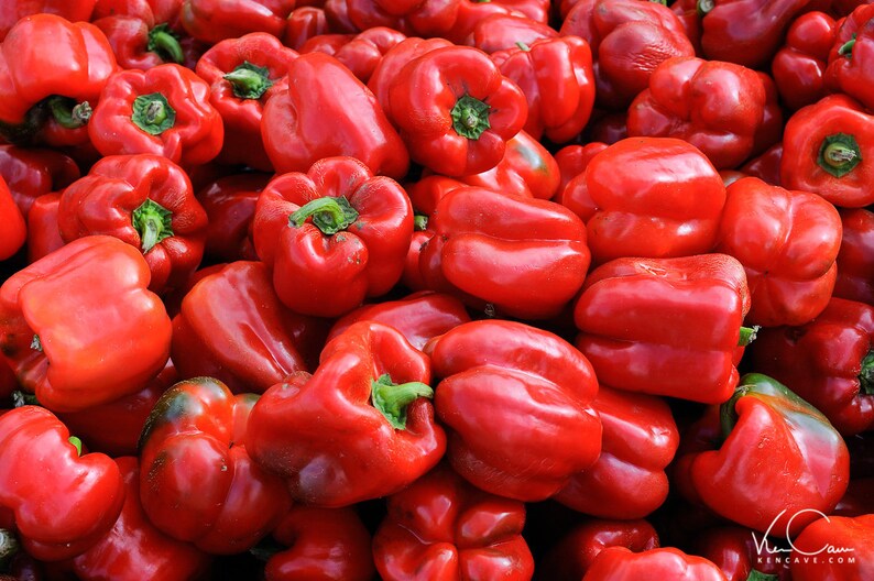 Red Peppers, Kitchen Photo, Kitchen Wall Art, Food Photography, Kitchen Decor, Kitchen Photo, Cafe Print, Cafe Photo, Red image 1