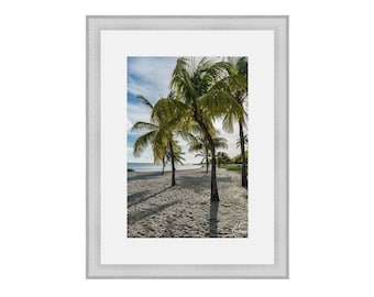 Key West Palm Tree Print, Key West Florida Wall Decor, Florida Keys Fine Art Print, Smathers Beach Key West Photo, Pam Tree Photo, Green