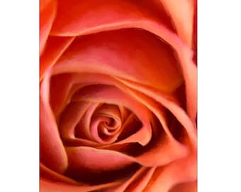 Flower Photo, Red Flower, Flower Photography, Floral Photography, Flower Art, Rose, Red, Rose Print, Rose Flower, Roses, Flower Wall Art