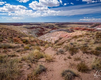 Painted Desert Fine Art Print, Petrified Forest, National Park Photo, National Park Print, Fine Art Print, Travel Photography, Brown