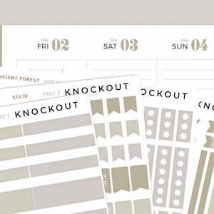 Classic Functional Sampler Kit for inkWELL Press Planners IWPL2