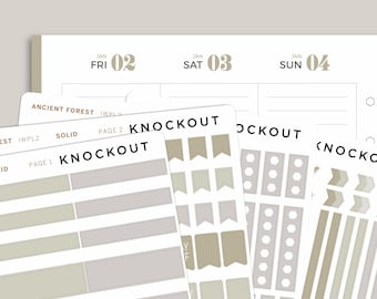 Classic Functional Sampler Kit for inkWELL Press Planners IWPL2