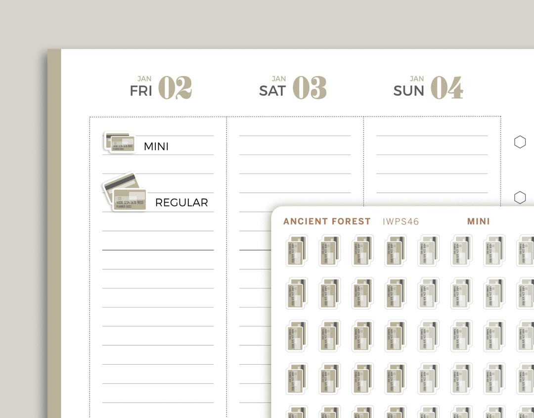 Credit Card Icon Planner Stickers for Inkwell Press Planners IWPS46 - Etsy