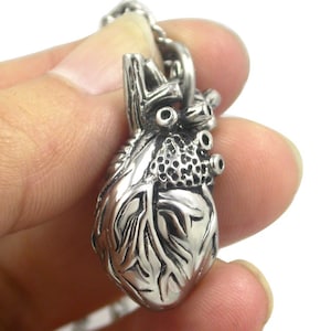Pearlina 3d Human Heart Necklace Anatomical Heart Stainless Steel Pendant Gift for Man Woman Boyfriend Husband Wife Doctor Surgeon Nurse
