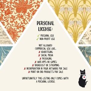 May include: A white background with a black cat illustration and text that reads "PERSONAL LICENSE: ✓ PERSONAL USE ✓ NON-PROFIT USE NOT ALLOWED: COMMERCIAL USE LIKE... X ADVERTISING X SOCIAL MEDIA X PACKAGING X WEB APPS OR GAMES X BROADCAST OR STREAMING X INCORPORATION IN YOUR ARTWORK FOR SALE X PRINT ON END PRODUCTS FOR SALE UNFORTUNATELY THIS LISTING ONLY COMES WITH A PERSONAL LICENSE."