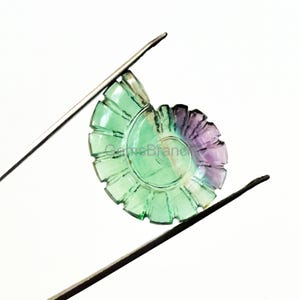 May include: A carved gemstone in shades of green and purple, held by tweezers against a white background. The gemstone is in the shape of a spiral, with a textured surface. The text "GemsBrane" is visible on the gemstone.