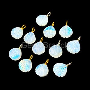 May include: A collection of opalescent shell-shaped pendants with gold-colored loops. The pendants have a carved, textured surface with subtle blue and white hues. The background is solid black, highlighting the jewelry.