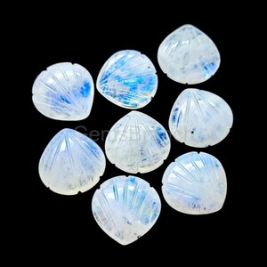 May include: Eight carved moonstone gemstones, each shaped like a seashell. The stones are primarily white with iridescent blue and silver flashes. The carved details create a textured, fan-like pattern. The gemstones are displayed against a black background.