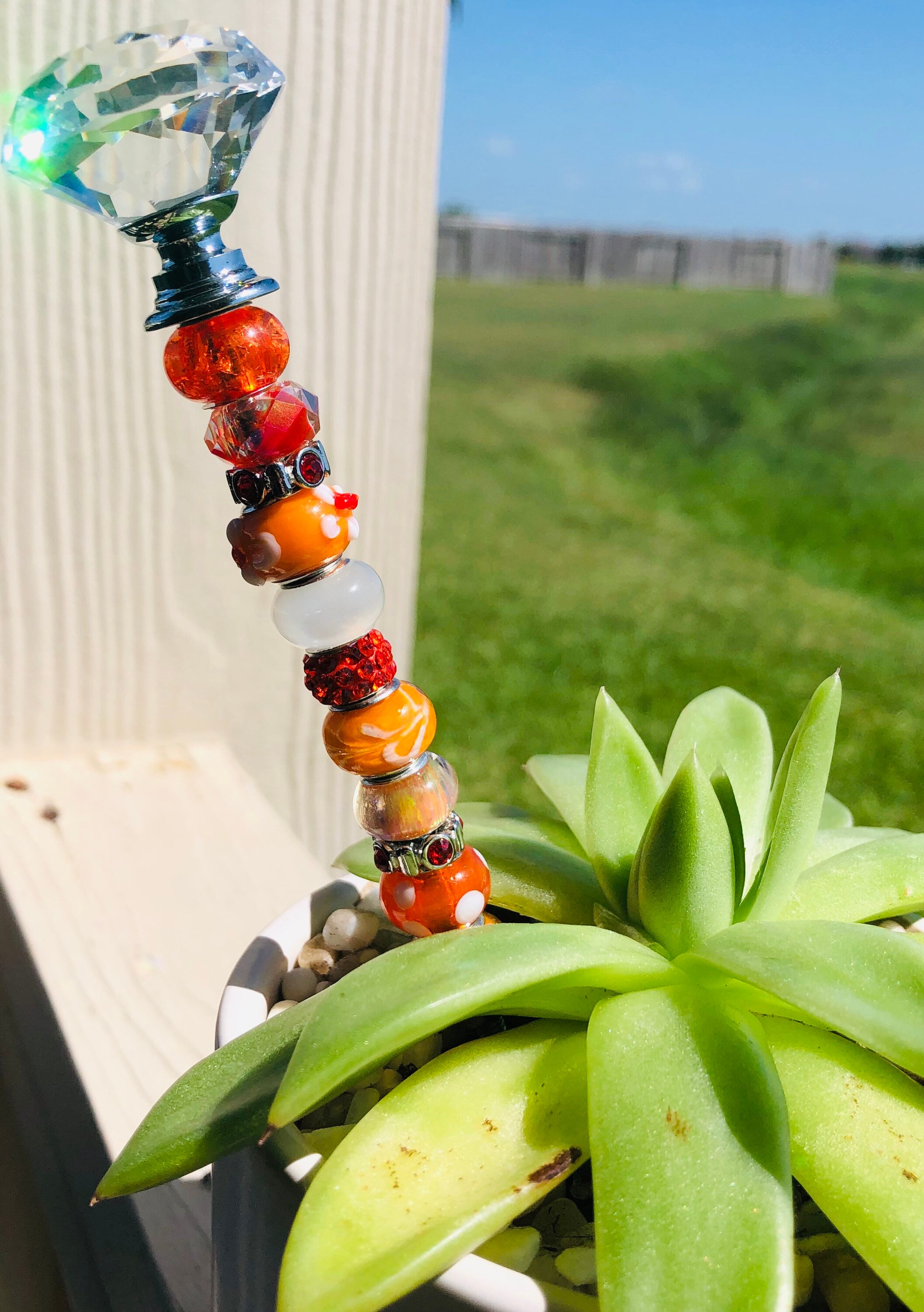 Orange SunCatcher Succulent Plant Decor 7 Etsy