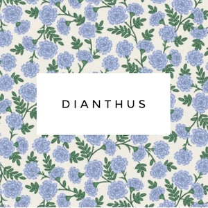 Copertina della Bibbia - Su misura - Scegli il tuo stile - Rifle Paper Co - Dianthus - Il ricamo non è incluso - Altezza inferiore a 9,9"