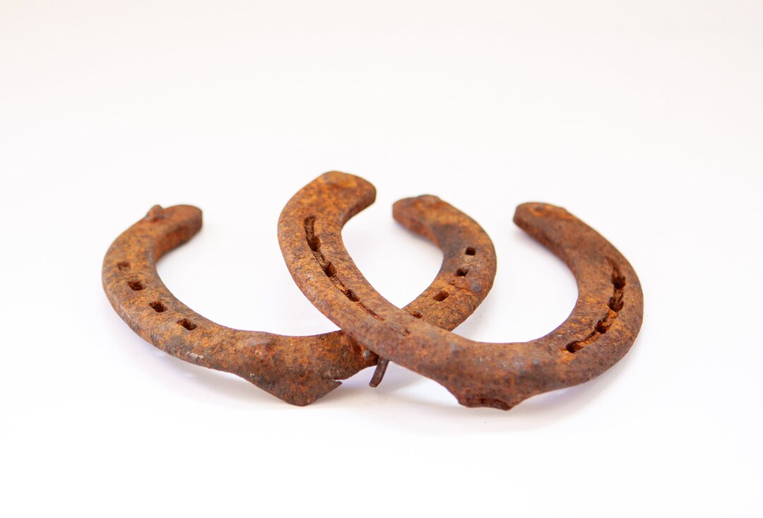 Horseshoes Near Me Conveniently Find Your Nearest Horseshoe Service