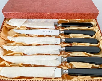 Originalverpacktes Set von 6 Messern mit Wellenschliff