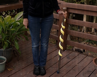 May include: A wooden walking stick with a yellow and black spiral design. The stick is held by a person wearing blue jeans and a black jacket.