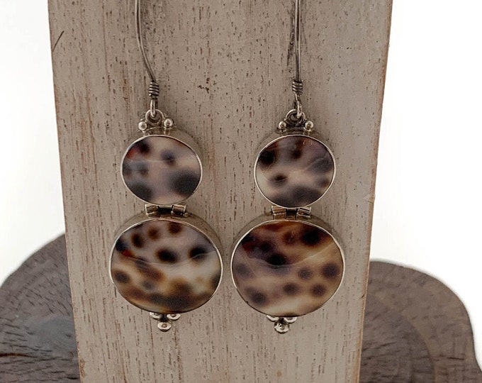 Cowrie Shell Earrings, Round Circlel Tiger Cowrie Shell Earring, Sterling Silver Dangle Earring, Beach Shell, Cowrie Shell Jewelry