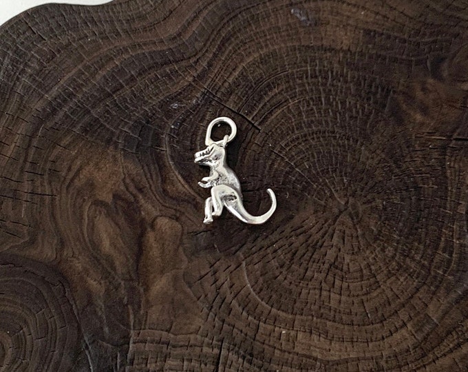 Silver Dinosaurs Pendant, Fun T-Rex Pendant in Sterling Silver, Jurassic Park Themed jewellery, Dinosaurs Pendant