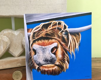 Highland Cow 15x15cm (6x6") tarjeta de felicitación en blanco de 'Nosy Cow': de una pintura acrílica original del artista escocés Jo McColl