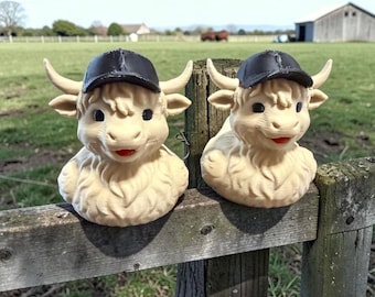 Teen Highland Cow, Cruise Duck, 3D Printed Duck