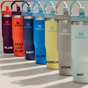 May include: A row of eight stainless steel water bottles with different colored lids and bodies. The colors are plum, orange, navy, blue, yellow, gray, and light blue. The bottles have a carrying handle and the text "STANLEY" is printed on each bottle.