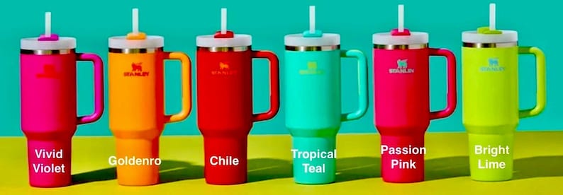 May include: Six stainless steel travel mugs with different colored lids and handles. The mugs are labeled with the colors: Vivid Violet, Goldenro, Chile, Tropical Teal, Passion Pink, and Bright Lime.
