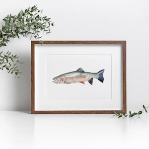 Aquarel kunstafdruk regenboogforel: Lakehouse vis decor