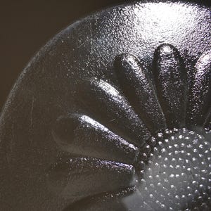 May include: A clear glass circular object featuring a raised, molded daisy flower design. The center of the flower has a textured, dotted surface, while the surrounding petals are smooth and elongated, radiating outward toward the rounded edge.