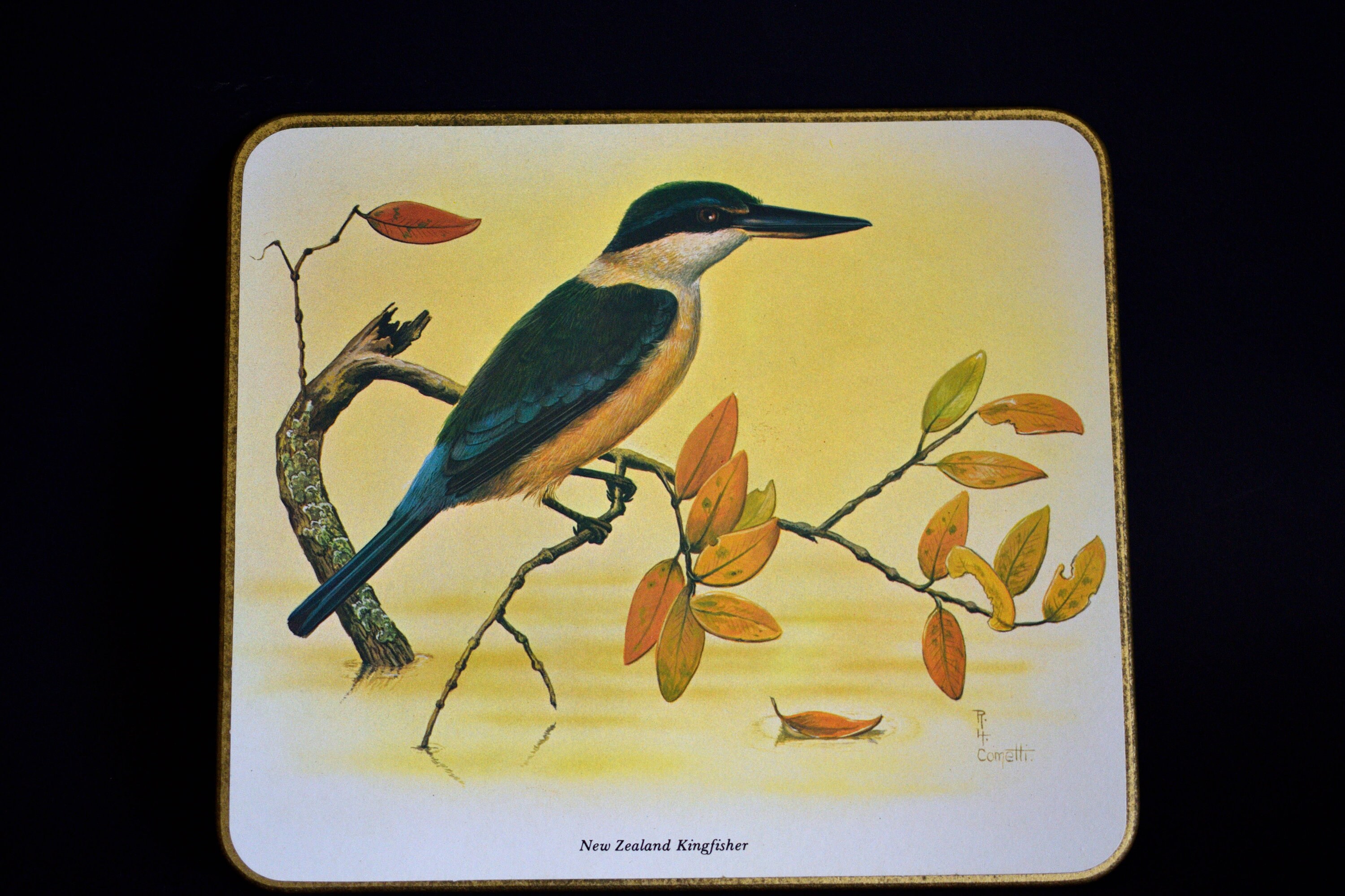 New Zealand Native Birds Placemats Set Vintage Ronald Etsy