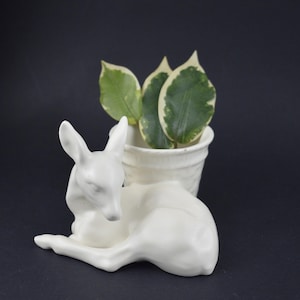 May include: A white ceramic deer figurine with a small planter holding green and white-edged leaves. The deer is lying down with its head resting, and the planter has a textured design. The background is dark.