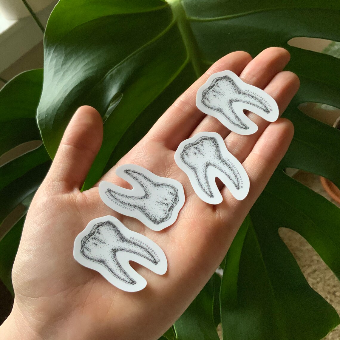 Tooth Sticker Pack of 4 1.625 x 1 Etsy