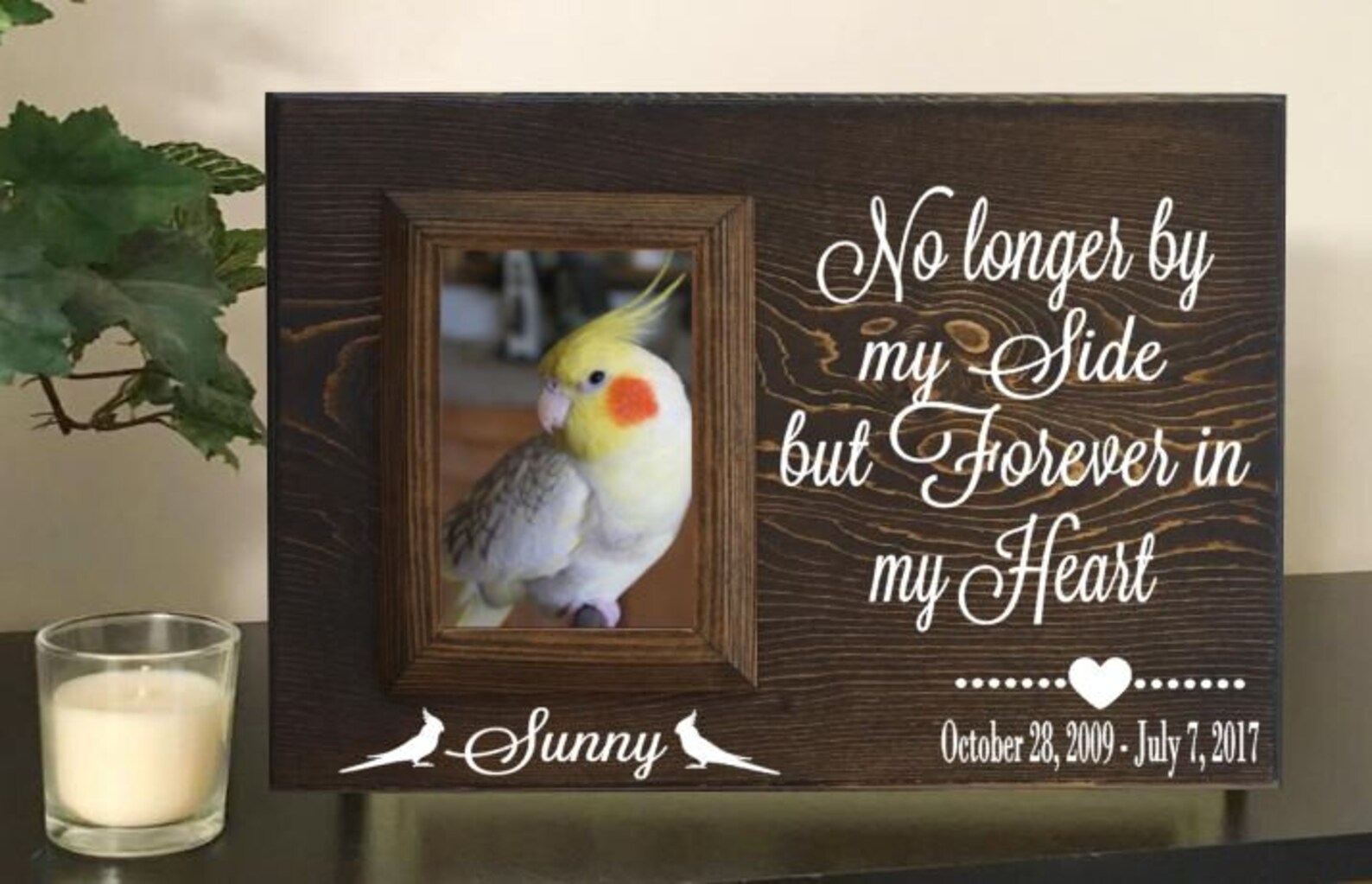 Bird Memorial Bird Memorial Frame Bird Memorial Picture Etsy