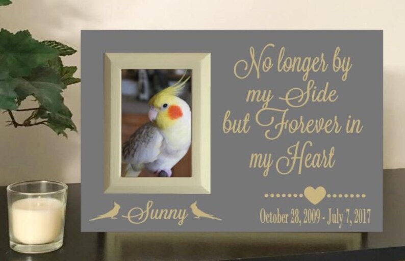 Bird memorial bird memorial frame bird memorial picture Etsy